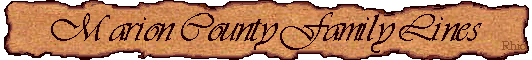 Family Lines Banner 